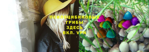 jwh Нефтекумск
